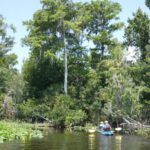 Orlando: Small Group Scenic Wekiva River Kayak Tour - Who Should Book This Tour?