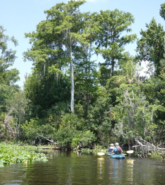Orlando: Small Group Scenic Wekiva River Kayak Tour - Who Should Book This Tour?