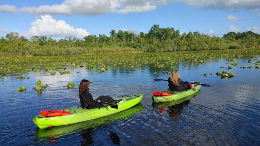 Orlando: Sunset guided kayaking tour - Final Thoughts
