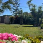 Ortigia market tour and traditional cooking lesson in the garden - Final Thoughts