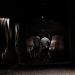 Orvieto: Classic Wine Tasting at Madonna del Latte - Practical Details and Tips