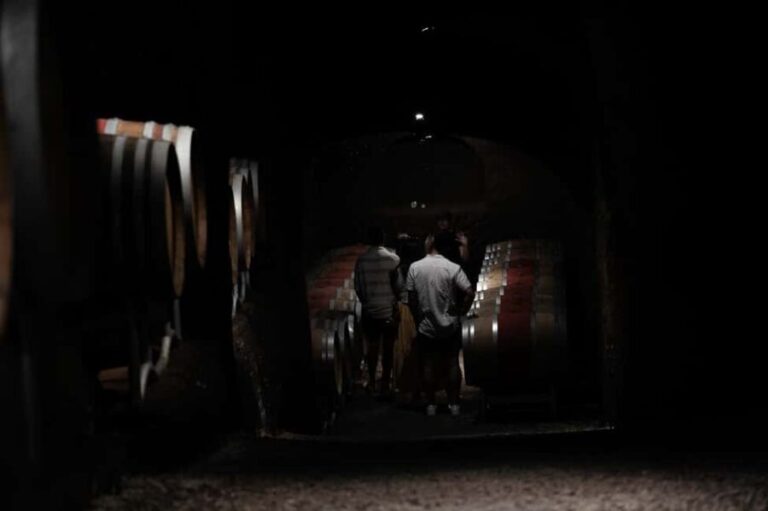 Orvieto: Classic Wine Tasting at Madonna del Latte - Practical Details and Tips