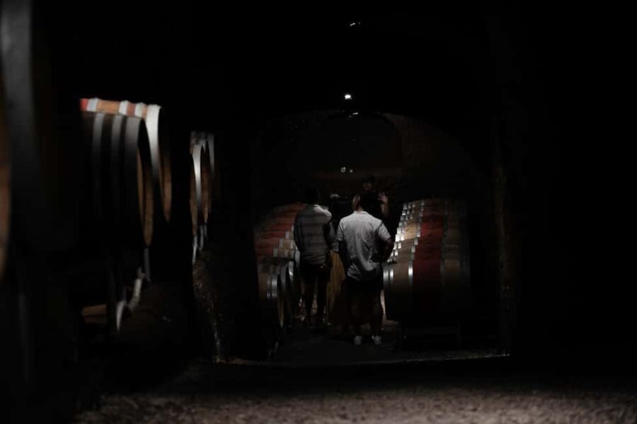 Orvieto: Classic Wine Tasting at Madonna del Latte - Practical Details and Tips