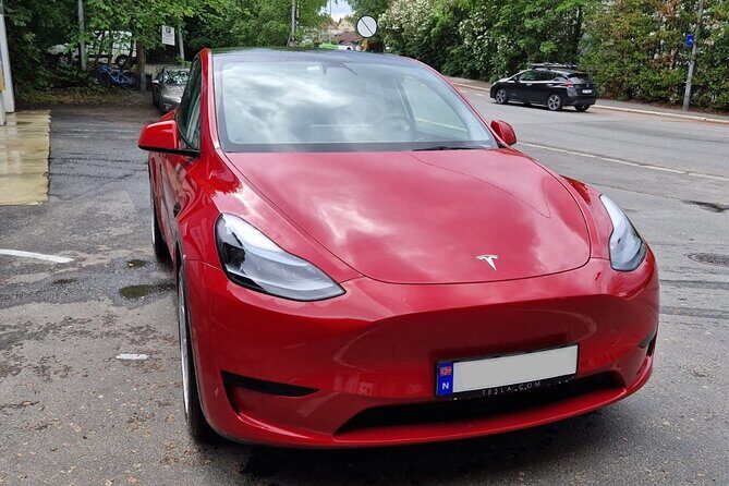 Oslo Airport Transfer Service with English Speaking Driver - Final Thoughts: Is This the Right Choice for You?