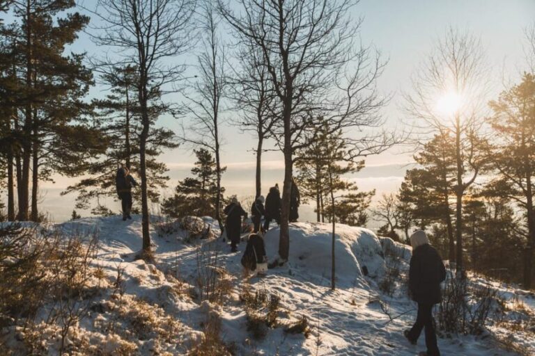 Oslo: Best View of the Oslofjord Winter Edition - A Deep Dive into the Experience