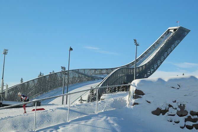 Oslo City Highlights with Fjord Cruise - Who Will Love This Tour?