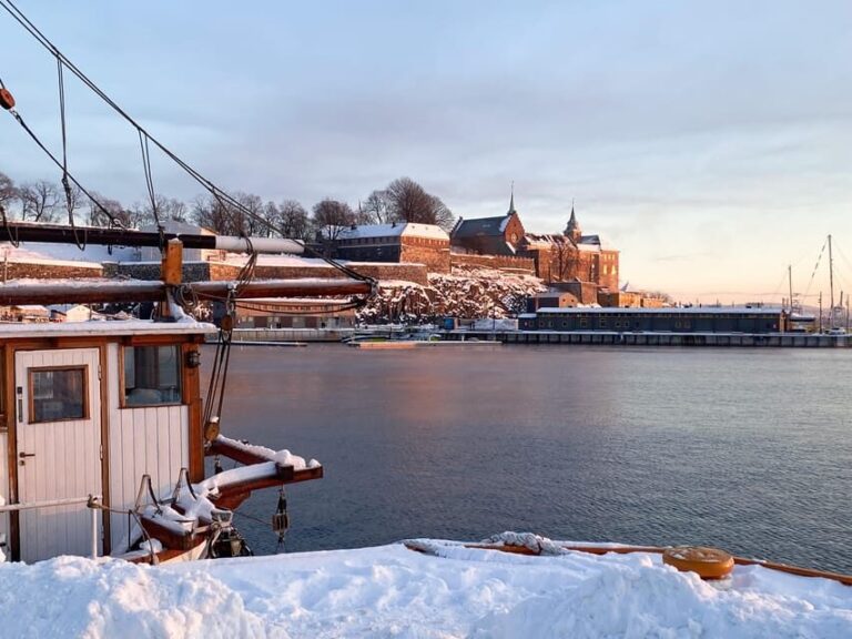 Oslo: City Walking Tour with Passionate Independent Guide - Why This Tour Offers Great Value