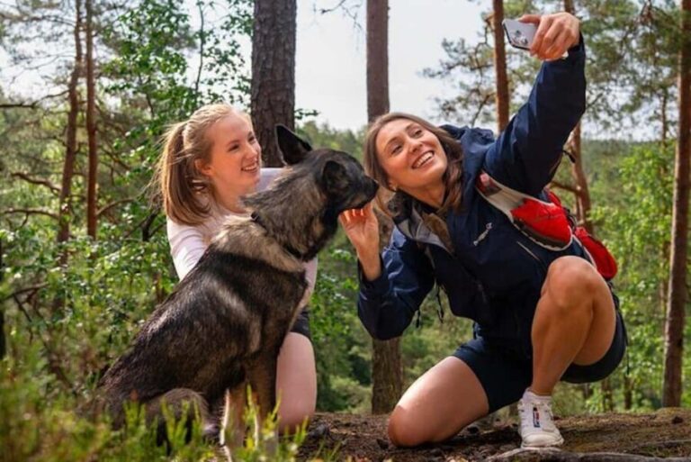 Oslo: Forest Hike with Guide & Husky - Who Will Love This Experience?