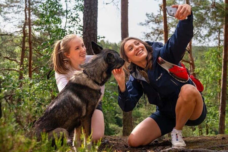 Oslo: Forest Hike with Guide & Husky - Who Will Love This Experience?