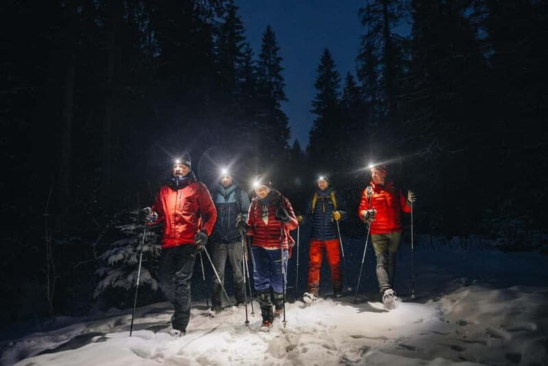 Oslo Forest: Private Mystery Nocturne Walk with Headlamps - Who Would Love This Experience?