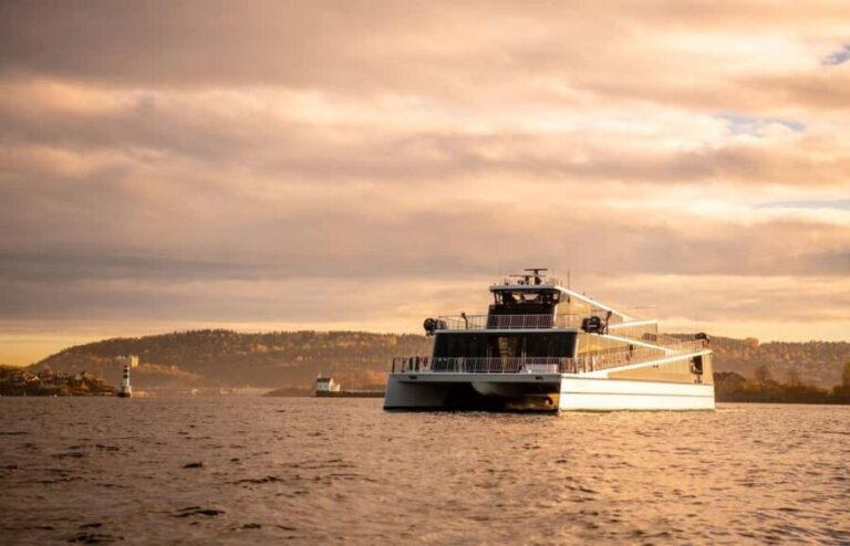 Oslo: New Year's Eve Cruise with DJ - A Practical, Authentic Oslo NYE Celebration