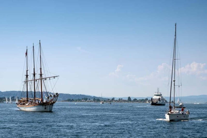 Oslo Old Town Walking Tour and Fjord Cruise Tickets - A Deep Dive Into the Experience