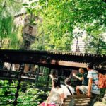 Oslo Panorama El-Bike Tour - Authentic Experiences and Traveler Feedback