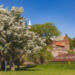 Oslo Private Tour: From The Opera to Vigeland Sculpture Park - Practical Details and Value
