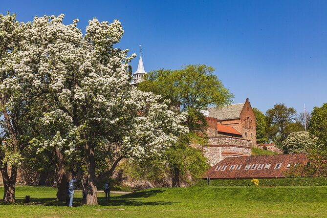 Oslo Private Tour: From The Opera to Vigeland Sculpture Park - Practical Details and Value