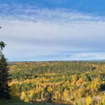 Oslo: Scenic Forest Hike with Dog & Local Guide - Frequently Asked Questions