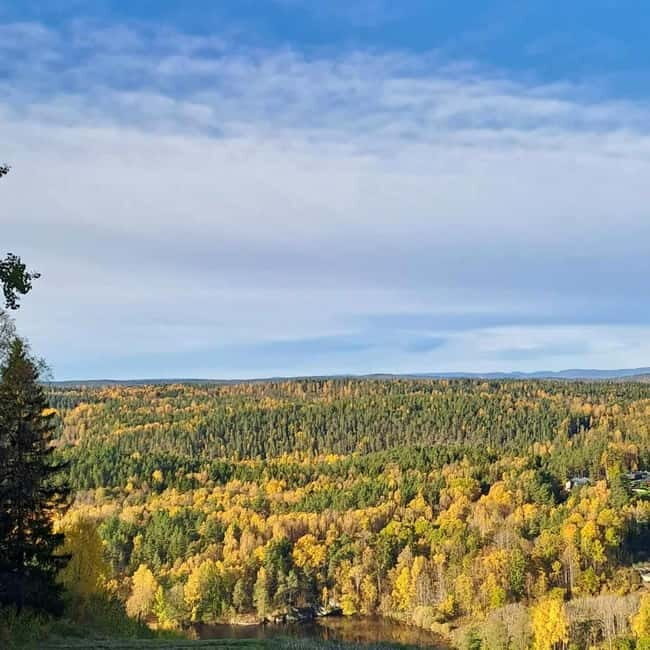 Oslo: Scenic Forest Hike with Dog & Local Guide - Frequently Asked Questions