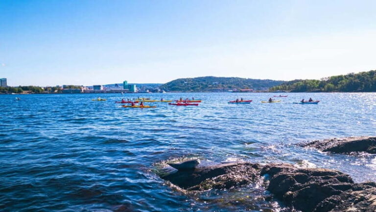 Oslo Sea Kayak Tour Fjord City - A Deep Dive into the Oslo Sea Kayak Experience