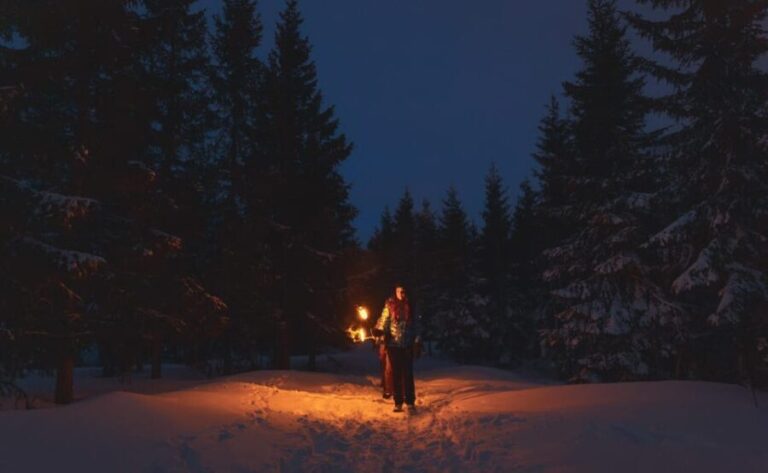 Oslo: Snowy Forest Torchlight Walk with Campfire - An In-Depth Look at the Experience