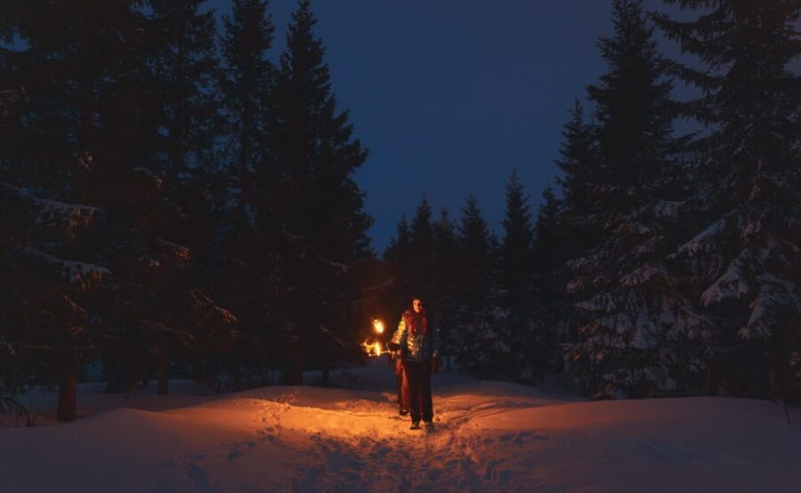 Oslo: Snowy Forest Torchlight Walk with Campfire - An In-Depth Look at the Experience
