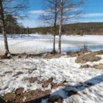Oslo Summit: A Scenic Hiking Adventure to Vettakollen - A Deep Dive into the Vettakollen Hiking Experience