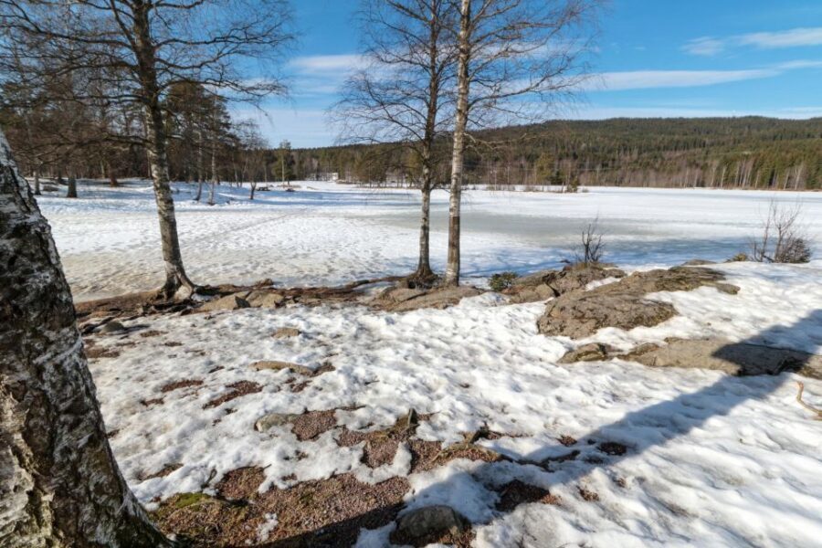 Oslo Summit: A Scenic Hiking Adventure to Vettakollen - A Deep Dive into the Vettakollen Hiking Experience