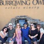 Osoyoos Full Day Lunch Wine Tour: Tasting Fees & Guide Grat Incl! - A Deep Dive into the Osoyoos Full Day Wine Tour