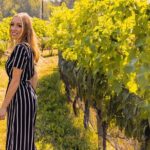 Osoyoos Half Day Wine Tour (Incl. Tasting Fees & Guide Gratuity!) - The Sum Up