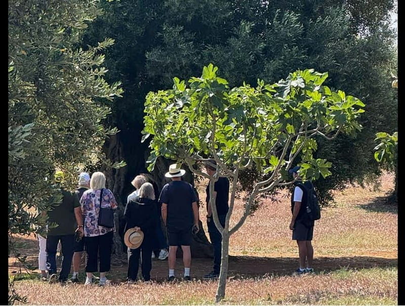 Ostuni: Farm tour among thousand-year-old olive trees with oil tasting - Frequently Asked Questions