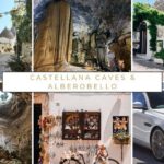 Ostuni, Locorotondo & Polignano: Semi-Private Tour (max 7 pax) - A Detailed Look at the Ostuni, Locorotondo & Polignano: Semi-Private Tour