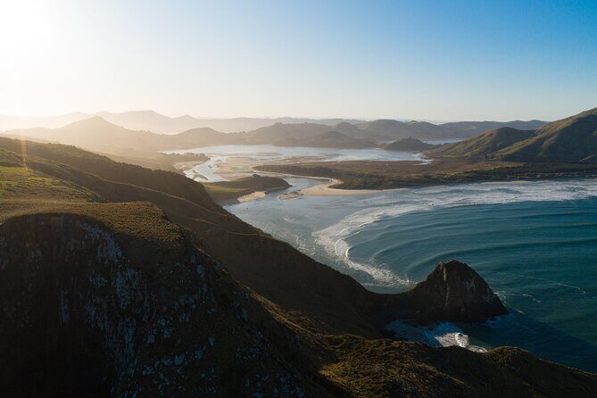 Otago Peninsula & Larnach Castle Shore Excursion - Who Will Love This Tour?