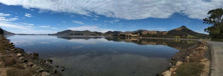 Otago Peninsula Scenery & Little Blue Penguin tour - Exploring Otago Peninsula: What This Tour Offers