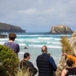 Otago Peninsula Wildlife Tour & Cruise - FAQ