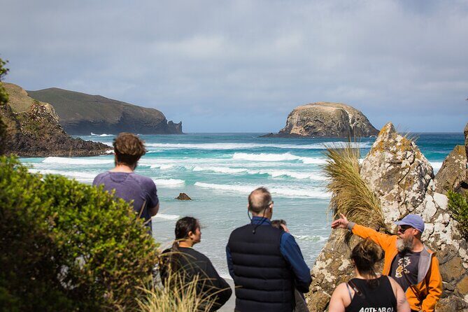 Otago Peninsula Wildlife Tour & Cruise - FAQ