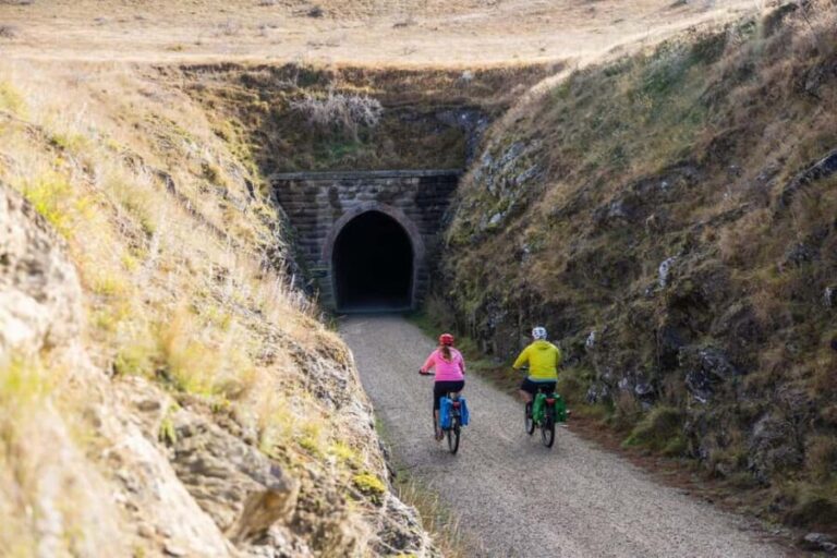 Otago: Rail Trail Self-Guided Biking Experience - Who Will Love This Tour?