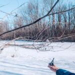 Ottawa: Guided Nature Walk & Wildlife Tour with Hotel Pickup - Who This Tour Is Best For
