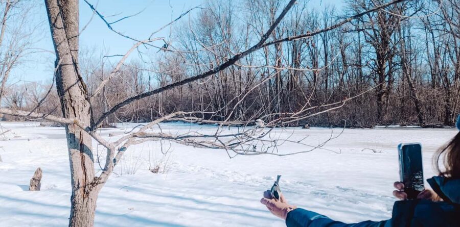 Ottawa: Guided Nature Walk & Wildlife Tour with Hotel Pickup - Who This Tour Is Best For