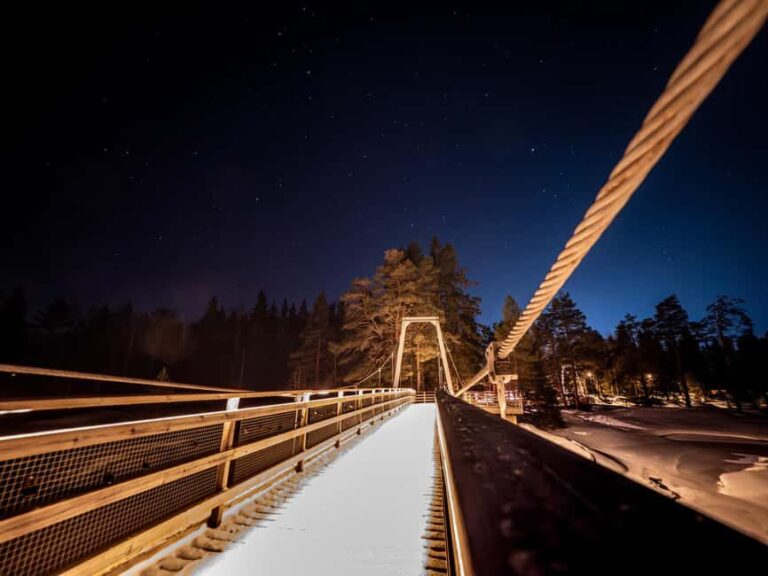 Oulu: Driven Aurora Hunting Tour in Oulu & Nature Spots - Who Should Book This Tour?
