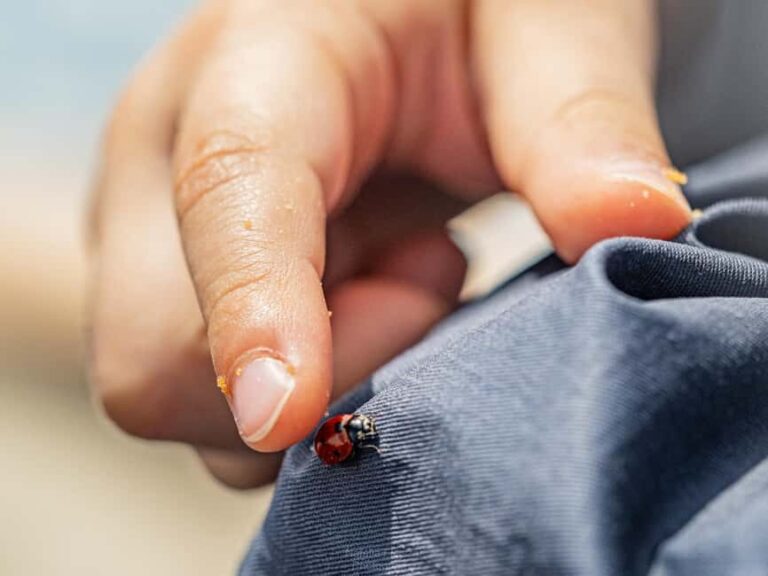 Oulu: Hietasaari Family Nature Walk with Picnic - Exploring Hietasaari: A Nature Tour with a Personal Touch