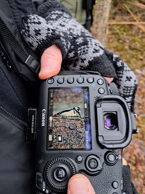Oulu: Hietasaari Wildlife Hike with Nature Guide - A Journey into Oulu’s Natural World
