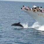 Ouranoupoli : Mount Athos 3hours guided tour - Detailed Review of the Mount Athos Guided Boat Tour