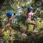 Ourimbah: Central Coast Junior Tree Ropes Course - A Closer Look at the Ourimbah Junior Tree Ropes Course