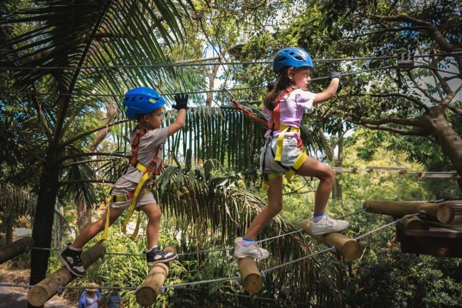 Ourimbah: Central Coast Junior Tree Ropes Course - A Closer Look at the Ourimbah Junior Tree Ropes Course