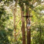 Ourimbah: Central Coast Treetops Adventure Tree Ropes Course - The Experience in Detail