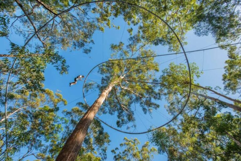 Ourimbah: Central Coast Zipcoaster - The Value and Why It’s Worth Considering