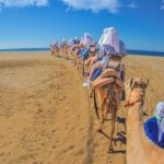 Outback Camel Ride - Who Will Love This Tour?