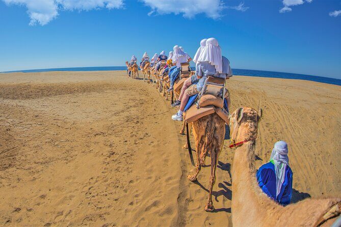 Outback Camel Ride - Who Will Love This Tour?