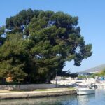 Outdoor adventure in Marjan hill in Split - Authentic Experiences Highlighted by Travelers