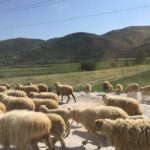 Outdoor Experience in Amantia Archeological Park & Brataj Bidge - A Deeper Dive into the Experience