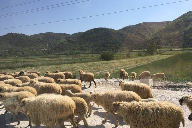 Outdoor Experience in Amantia Archeological Park & Brataj Bidge - A Deeper Dive into the Experience
